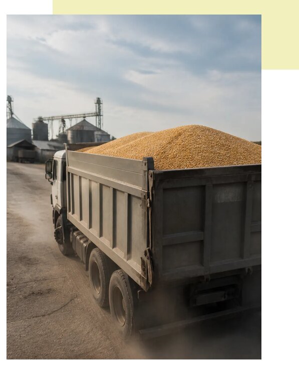 Перевозка сельхозпродукции навалом в Чехова по цене от 3050 р. | Агросервис-Чхв